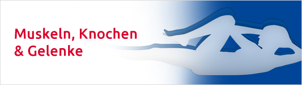 Muskeln, Knochen & Gelenke