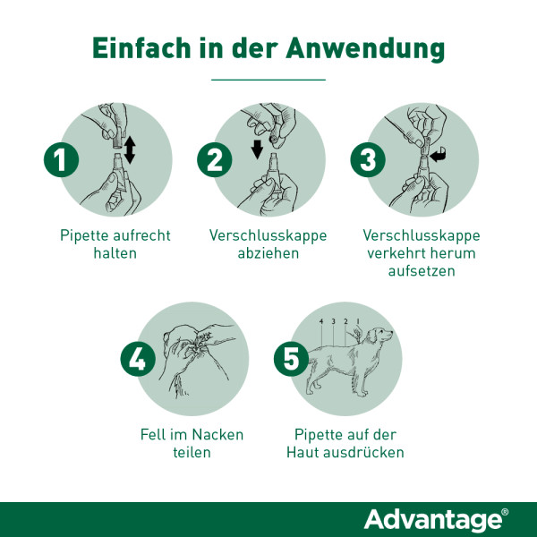 ADVANTAGE 40 Lösung f.Hunde bis 4 kg