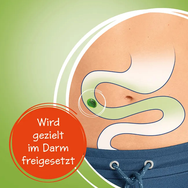 CARMENTHIN bei Verdauungsstörungen msr.Weichkaps.