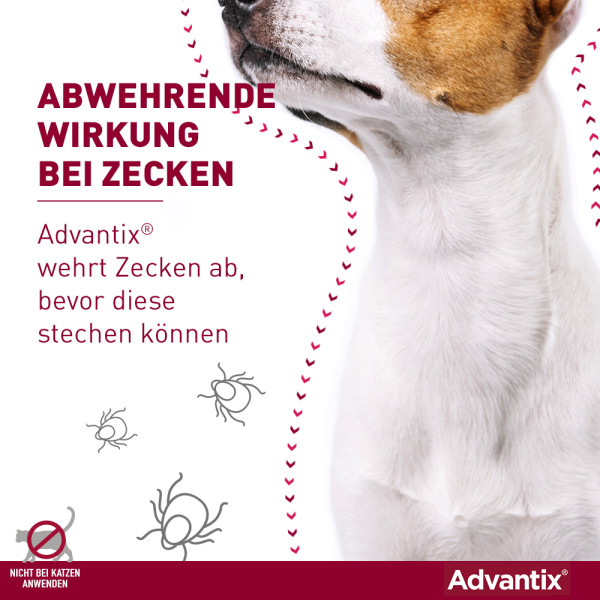 Advantix® Spot on für Hunde 25 - 40 kg