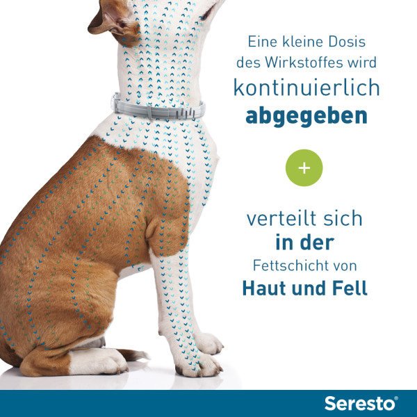 SERESTO 1,25g + 0,56g Halsband für Hunde bis 8kg