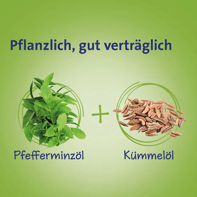 CARMENTHIN bei Verdauungsstörungen msr.Weichkaps.