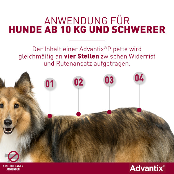 Advantix® Spot on für Hunde 25 - 40 kg