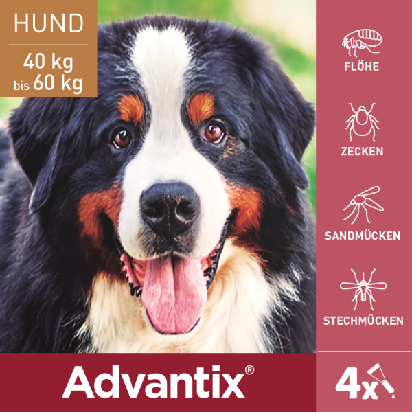 ADVANTIX Spot-on Lsg.z.Auftr.a.d.H.f.Hund 40-60 kg