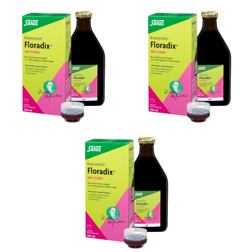 FLORADIX mit Eisen Lösung zum Einnehmen (3x700ml)