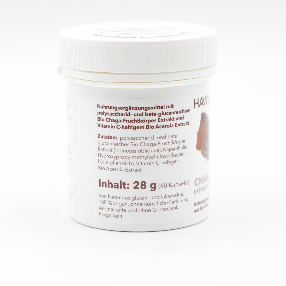 BIO CHAGA Extrakt Kapseln