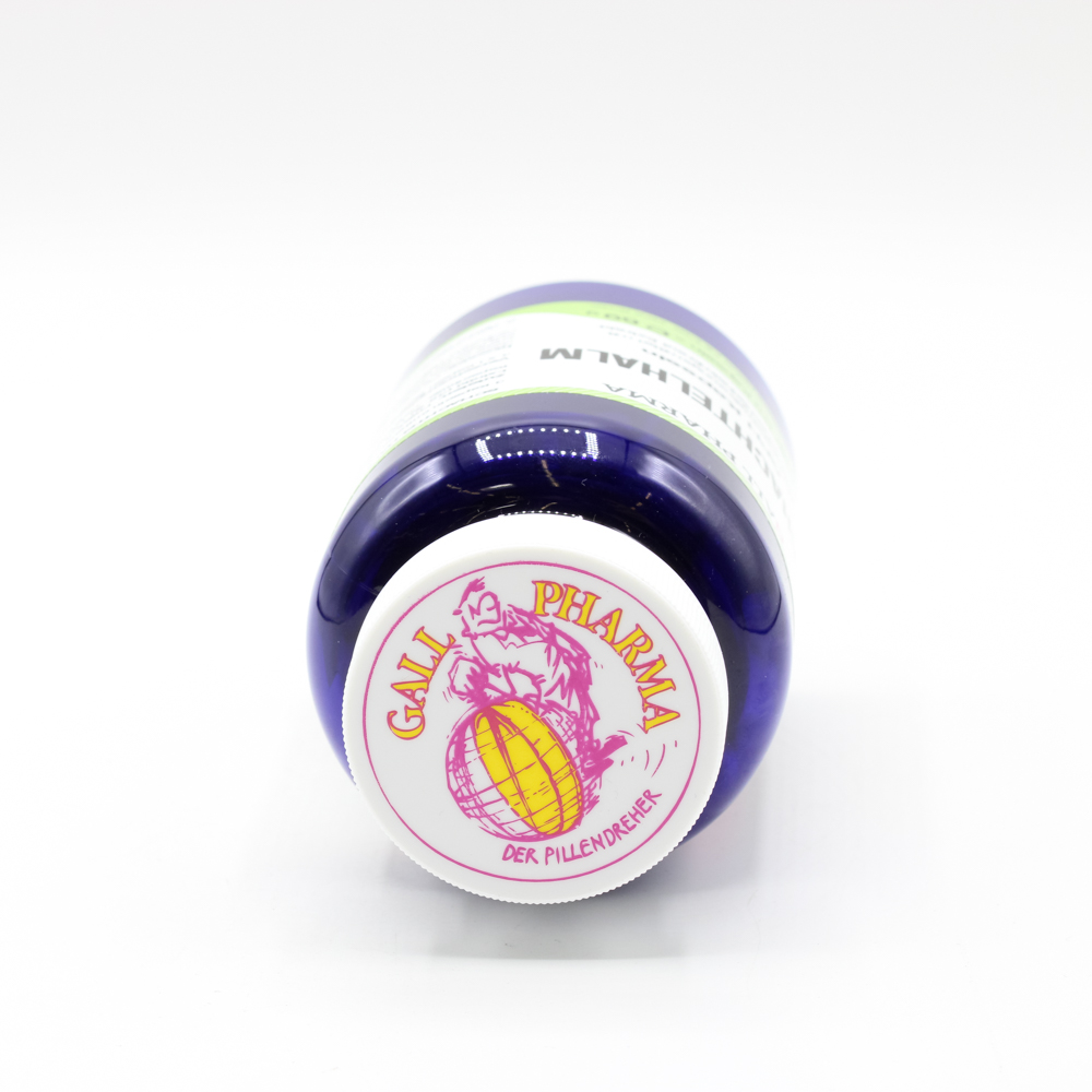 SCHACHTELHALM KAPSELN