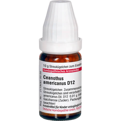 CEANOTHUS AMERICANUS D 12 Globuli