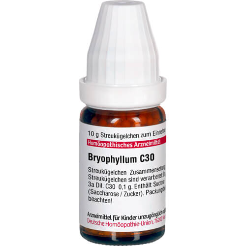 BRYOPHYLLUM C 30 Globuli